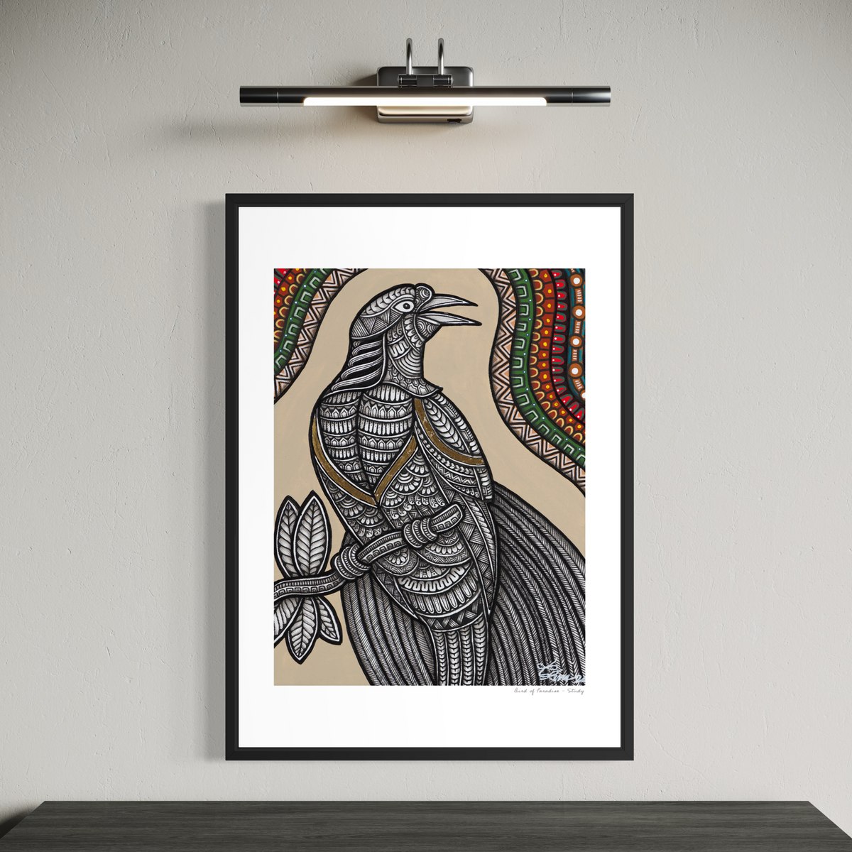 Greater Bird of Paradise - Study